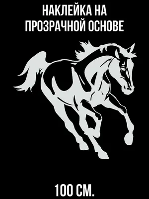 векторный силуэт лошади - Ozero - российский фотосток