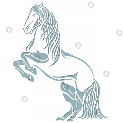 Аравийская лошадь Силуэт, Силуэт, лошадь, млекопитающее, животные png |  PNGWing