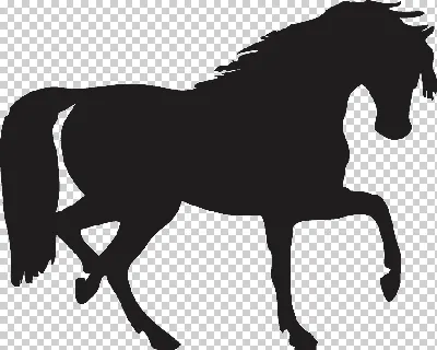Дизайн силуэта лошади на белом фоне реалистичная коллекция векторов силуэта  лошади для личного пользования темные рыцари в разных позициях лошади  бегут, прыгают и стоят векторами | Премиум векторы
