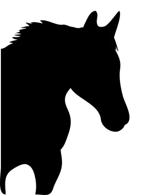 Раскраски силуэт лошади (47 фото) » Картинки, раскраски и трафареты для  всех - Klev.CLUB