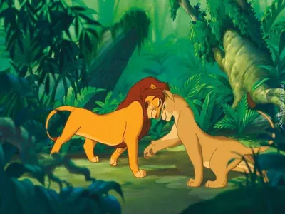 Раскраска Симба и Нала | Раскраски из мультфильма Король лев (Lion King)