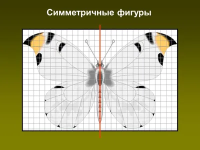 Симметричные фигуры. Нахождение осей симметрии фигур - презентация онлайн