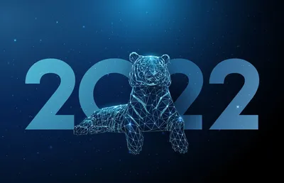 Голубой водяной тигр: что принесет ярославцам символ 2022 года | 24.12.21 |  Яркуб
