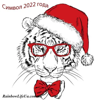 Тигр - Символ 2022 года необычные подарки на новый год в Минске XLAND.BY