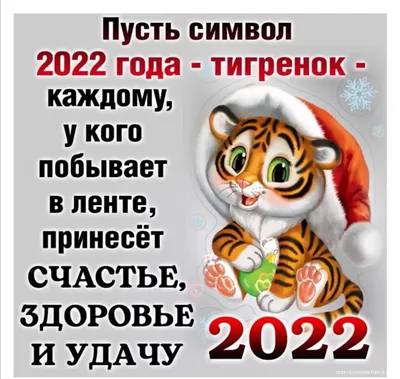 Какой он, символ 2022 года? | 17.12.2021 | Амурск - БезФормата