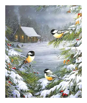 Сегодня - День синички. Учимся заботиться о птицах зимой - Тобольская правда