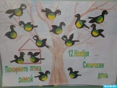 Синичкин день - 2023»: экологическая акция в Хакасии