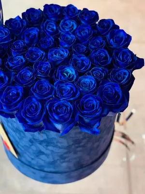 Бело-синие розы в коробке - 25 шт. за 7 890 руб. | Бесплатная доставка  цветов по Москве