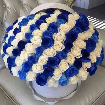 Купить Букет синие розы в Запорожье. Доставка цветов по Запорожью