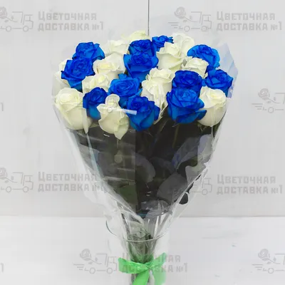 Синие розы и Новинки : 25 синих роз