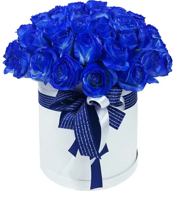 1️⃣ Букет из 19 синих роз – заказать с доставкой в Алматы