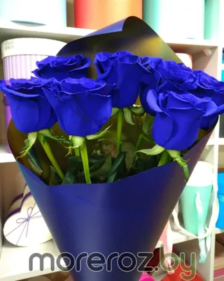Синие Розы в Корзине \"Сияние Ночи\" купить в Москве - Цены на букеты с  доставкой
