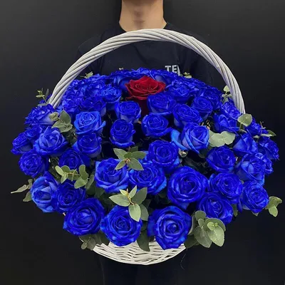 Синие розы 25 штук, Цветы и подарки Москва, Московская область, Россия,  купить по цене 14500 RUB, Монобукеты в Так красиво! с доставкой | Flowwow