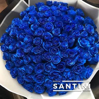 Купить синие розы - доставка букетов | VIAFLOR