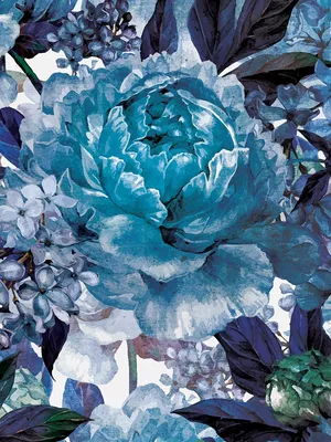 Самые красивые синие цветы (100 фото) 🔥 Прикольные картинки и юмор