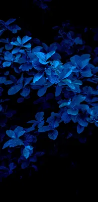 Фото обои в спальню 184x254 см Синие цветы на белых стеблях (1234P4A)+клей  купить по цене 850,00 грн