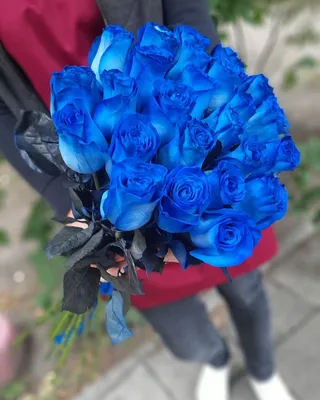Купить Розы синие в Ульяновске за 220 руб. | Быстрая доставка цветов