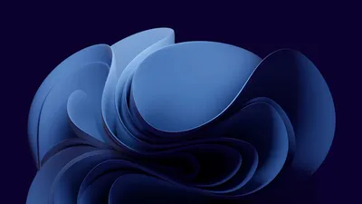 Синие розы в белой коробке в виде сердца - Доставкой цветов в Москве! 16906  товаров! Цены от 487 руб. Цветы Тут