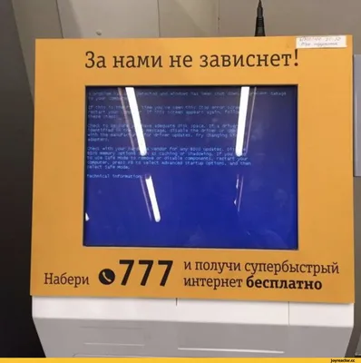 В Windows 11 вернётся «Синий экран смерти» — Ferra.ru