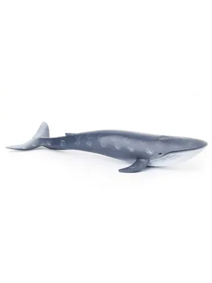 Фотообои Синий кит в пучине артикул Dse-043 купить в Оренбург|;|9 |  интернет-магазин ArtFresco