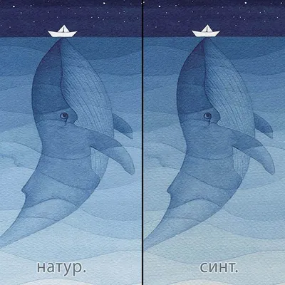 Синий кит — владыка морей | Книга животных | Дзен