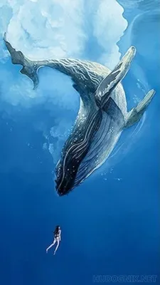 Синий кит: Наша планета не видела более крупного существа. Какое бытие у  левиафана весом в 150 тонн? - ЯПлакалъ
