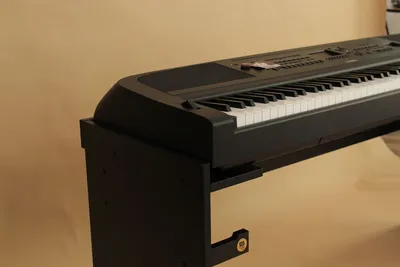 Синтезатор FAIRYMARY детский с микрофоном Развивающий страна производства  Китай PIANO023 купить по цене 2295 ₽ в интернет-магазине Детский мир