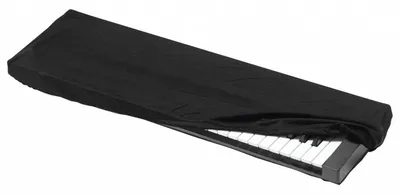 Стойка клавишная для синтезатора пианино - купить с доставкой по выгодным  ценам в интернет-магазине OZON (766233045)