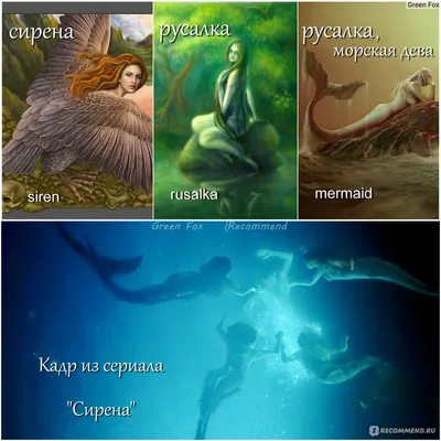 Sirena: A Mermaid Legend from Guam: Taimanglo, Tanya Chargualaf,  Chargualaf, Sonny K: 9781452057262: Amazon.com: Books