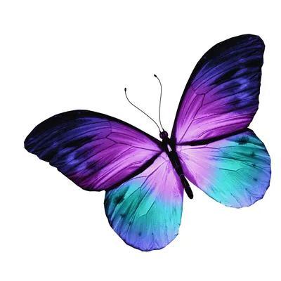 Бабочки Голубые/ розовые/ сиреневые А4