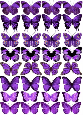 сиреневые бабочки | Butterfly cake topper, Butterfly background, Butterfly  wallpaper backgrounds