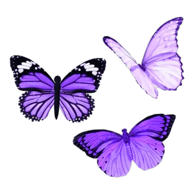 Букет из бабочек 51шт фиолетовый (ID#1825703212), цена: 840 ₴, купить на  Prom.ua