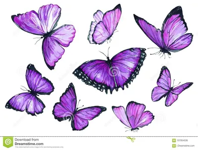 Сиреневые бабочки - 12шт. (ID#683889975), цена: 125 ₴, купить на Prom.ua