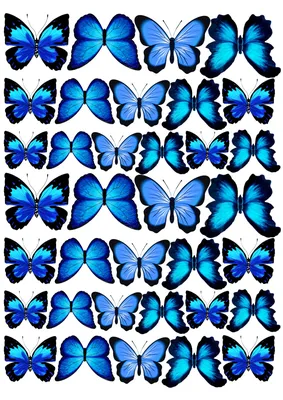 фиолетовый бабочка летающая бабочка стикер стены - TenStickers