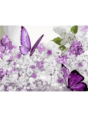 синие бабочки | Бумажные бабочки, Фотоподарки, Ботанические рисунки