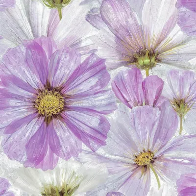 сиреневые цветы на белом фоне рисунок акварелью Стоковое Изображение -  изображение насчитывающей изолировано, нарисовано: 219967315