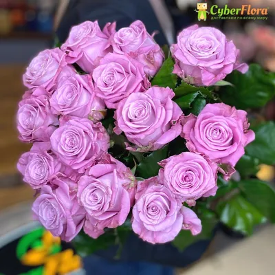 Фотообои Сиреневые цветы артикул Fl-013 купить в Оренбург|;|9 |  интернет-магазин ArtFresco