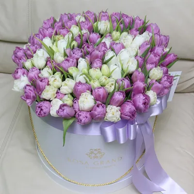 Самые красивые - сиреневые и фиолетовые цветы! Непрерывное цветение |  Цветущий мир | Дзен