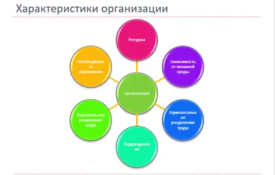 Система управления организацией в условиях современного бизнеса