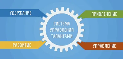 WMS-система управления складом - что это такое? Преимущества систем для  автоматизации операций по управлению складом на сайте solvo.ru