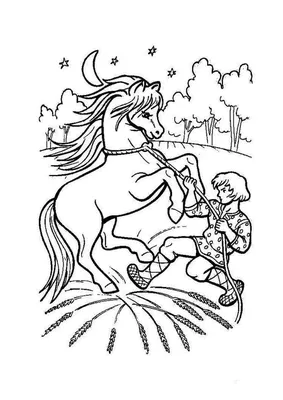 Иллюстрация 1 из 20 для Сивка-Бурка. Сказки | Лабиринт - книги. Источник:  Лабиринт