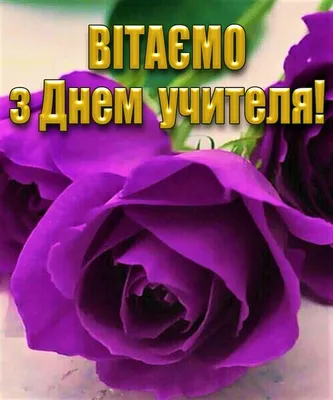 Картинки з Днем вчителя 2023 – вітальні листівки і відкритки українською -  Радіо Незламних