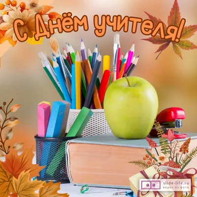 С Днём учителя! :: Krd.ru