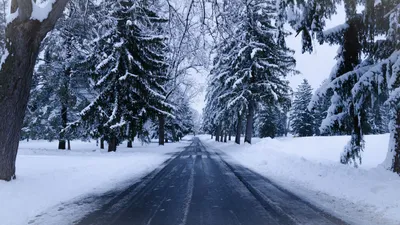 Скачать 2560x1440 зима, дорога, снег, деревья, зимний пейзаж обои, картинки  16:9