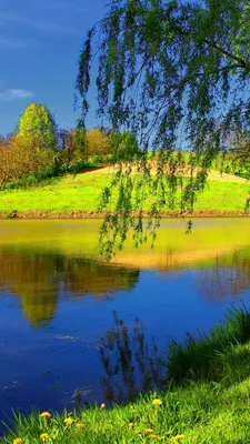 Скачать обои и картинки река, лето, пейзаж, вода, отражение, деревья,  облака для рабочего стола в разрешении 3840x2400