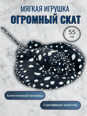 В Приморском океанариуме поселился скат в голубой горошек - Российская  газета