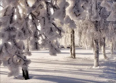 Сказочная зима - Реализм