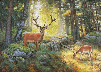 В тишине сказочного леса» картина Разживина Игоря маслом на холсте —  заказать на ArtNow.ru
