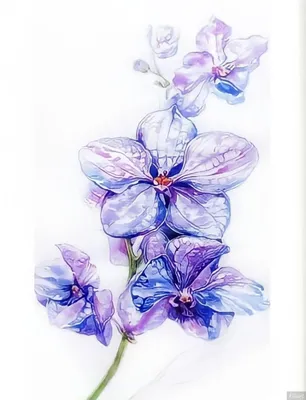 Купить оптом Рисунок на ткани для вышивания бисером \"Сказочные цветы\"  (larkes.К4024)