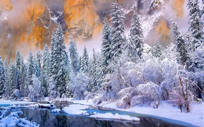 Зима - Новогодняя сказка - обои живые